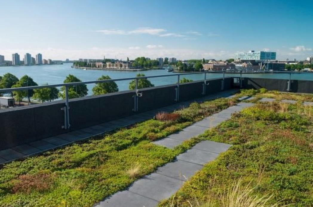 Wet Kwaliteitsborging: zekerheid door DAKMERK, hét kwaliteitskeurmerk voor het platte dak