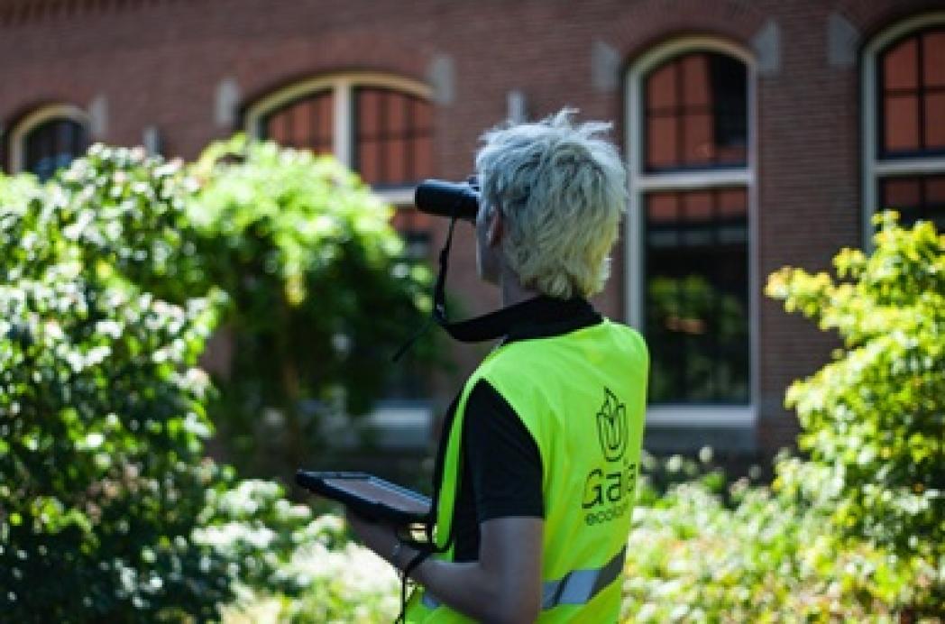 Gaia Ecologie ontzorgt Woningcorporaties o.a. met vleermuisonderzoek