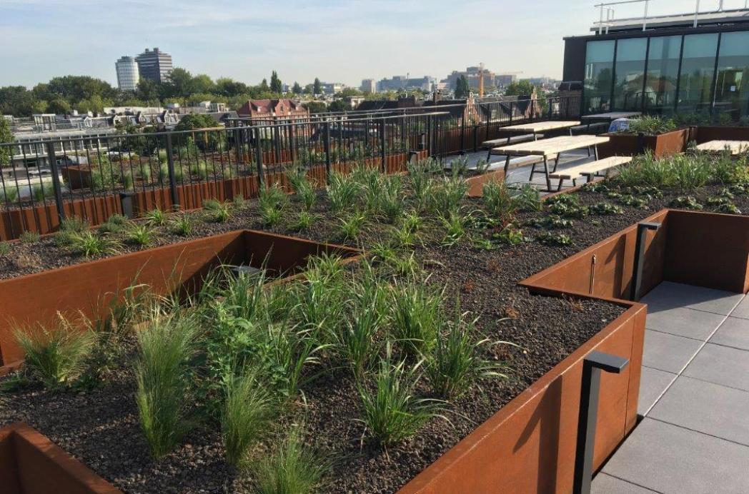 Groene daken winnen terrein
