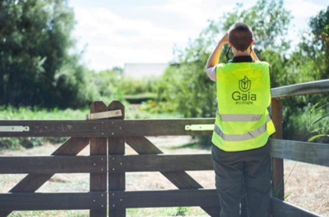 Gaia heeft nog plek voor jouw vleermuisonderzoek!
