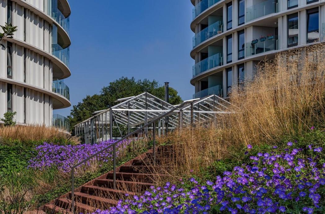 Opkomst van het waterdak