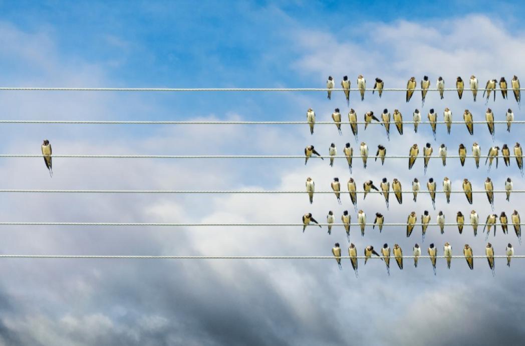 Omdenken bij het huurincassoproces