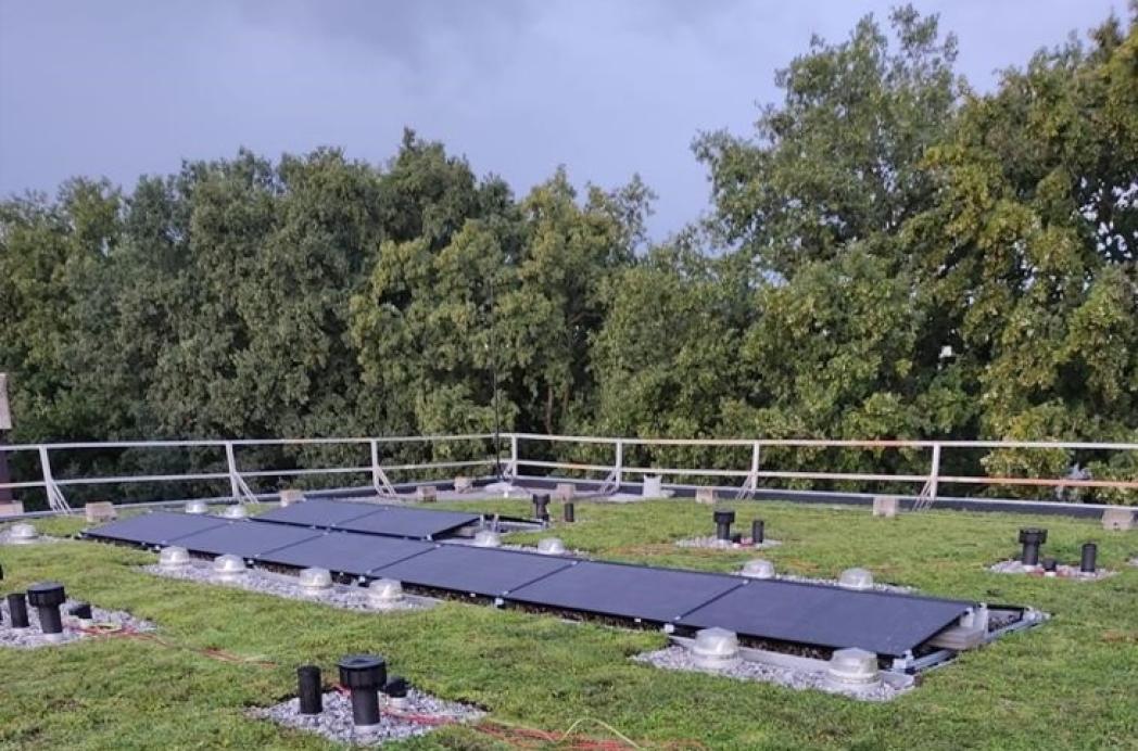 Verduurzamen én klimaatadaptie: twee vliegen in één klap