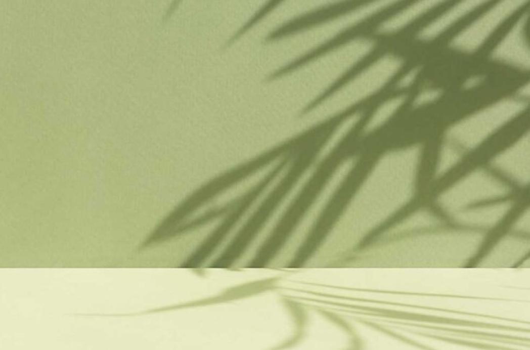 Een woning verduurzamen: waarom, hoe en wat?