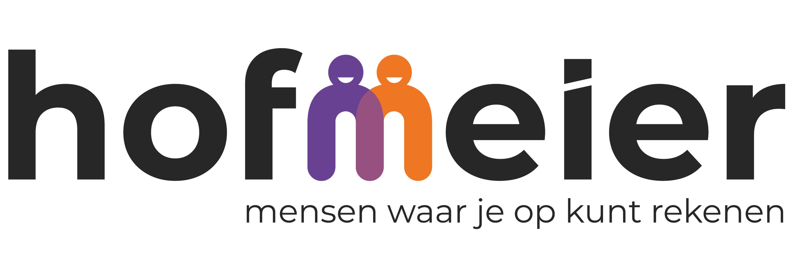 Hofmeier I Interim & Consulting